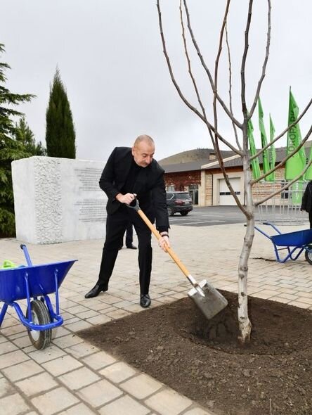 İlham Əliyev "Şəki-Oğuz" Aqroparkında yaradılan şəraitlə tanış olub - YENİLƏNİB + FOTO