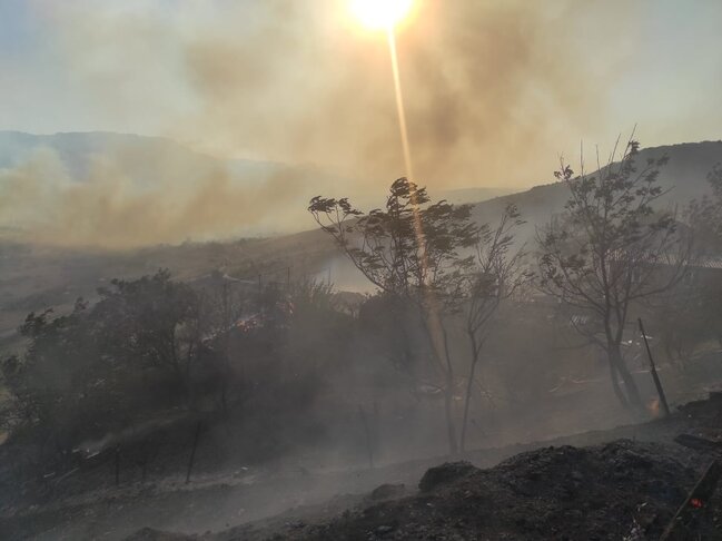 Şabrandakı yanğında 13 ev yandı - FOTOLAR