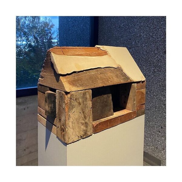 Aktyor kimi tanıdığımız Bred Pittin görün hansı bacarığı da var imiş - FOTOLAR