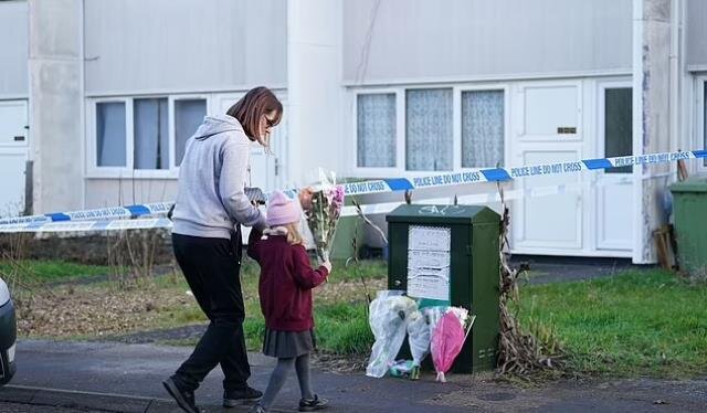 Daha bir FACİƏ: Bu dəfə it 4 yaşlı uşağı parçaladı - FOTO