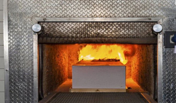 Ekodəfn nədir və bu üsula cəmiyyət necə baxır? - Bakı sakinləri arasında SORĞU