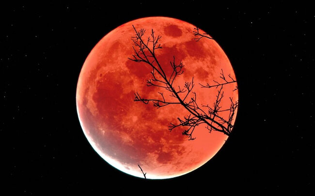 Bu gün Ay tutulması olacaq - Bakı vaxtı ilə saat…