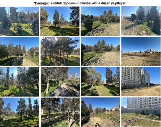 Dərnəgüldəki yeni metro deposunun ətrafında 1000-ə yaxın ağac əkiləcək