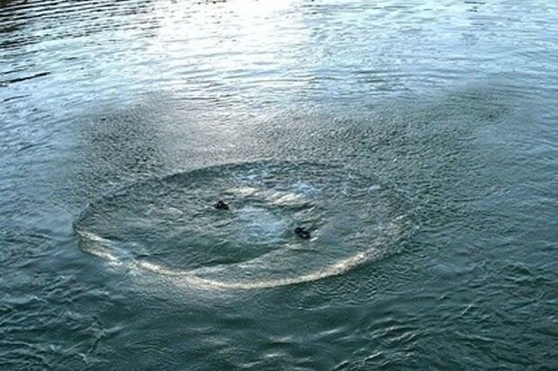 Şabranda üç yaşlı uşaq çayda batıb