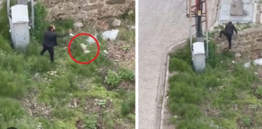 Pişiyə əvvəlcə təpik vurdu, sonra öldürdü: Dəhşətli anlar kameraya düşüb - VİDEO