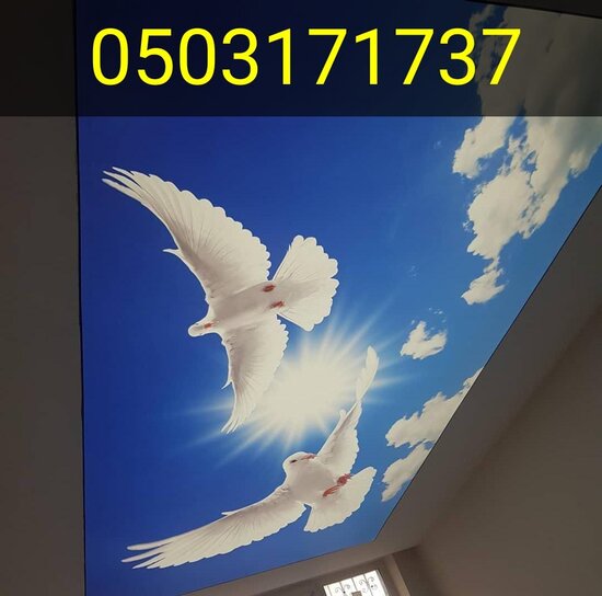 3d 5d Dartma tavan və foto aboyların topdan satış mərkəzi!