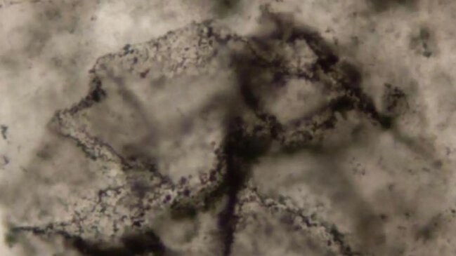 3 milyard ildən qədim qayalarda həyat izləri tapıldı