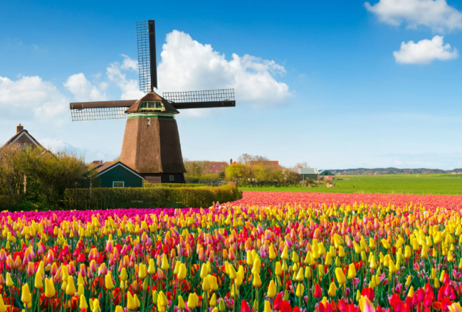 8 mart günü Azərbaycanda 22° isti olacaq