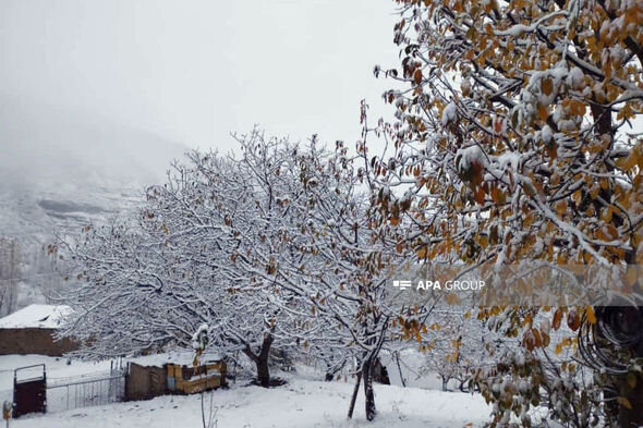 Naxçıvana qar yağıb - FOTO