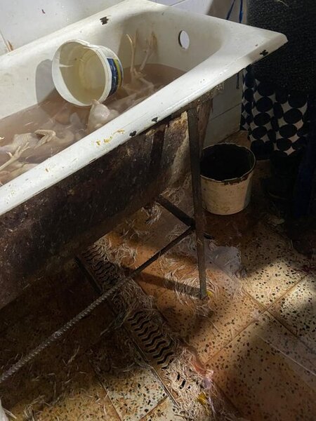 "Kənd toyuqları"nı bu vannalarda "istehsal edirmişlər" - Fotolar