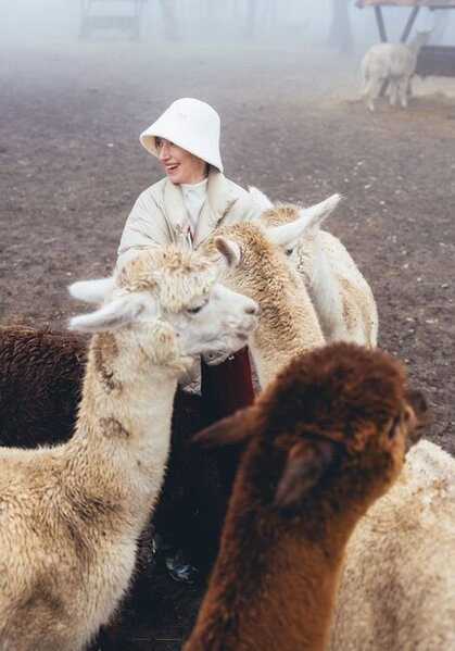 Prezidentin gəlininin alpaka fermasından maraqlı - Fotoları