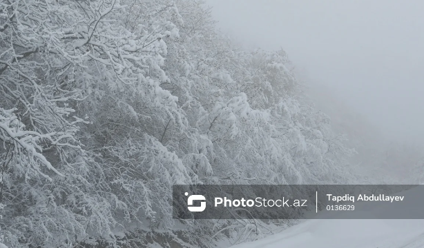 Azərbaycanın bir sıra rayonlarına qar yağacaq - XƏBƏRDARLIQ