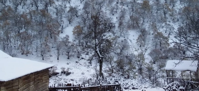 Bazar günü bəzi yerlərə intensiv QAR YAĞACAQ