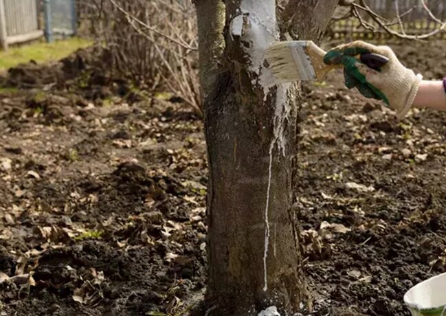 Marta qədər kim çatdırıb edə bilsə, BƏXTİ GƏTİRDİ - Bəhrəsini YAYDA GÖRƏCƏK