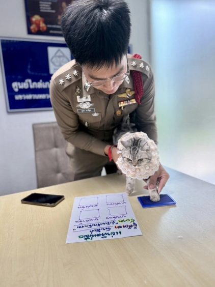 Polisə hücum edən pişik həbs olundu, pəncə izləri alındı