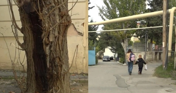 Bakıda məşhur şadlıq evində nöqsanlar aşkarlandı: Müştərilərə camış əti verilirmiş