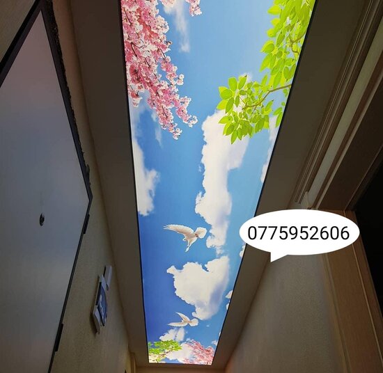 3d 5d Dartma tavan və foto aboyların topdan satış mərkəzi!