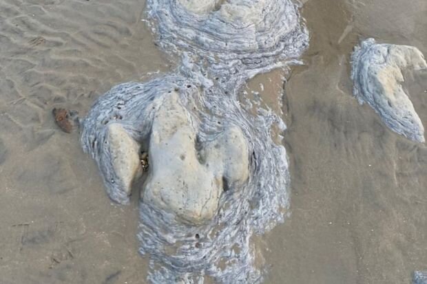 Uşaqları ilə sahildə gəzən ana dinozavr izləri tapdı - FOTO/VİDEO