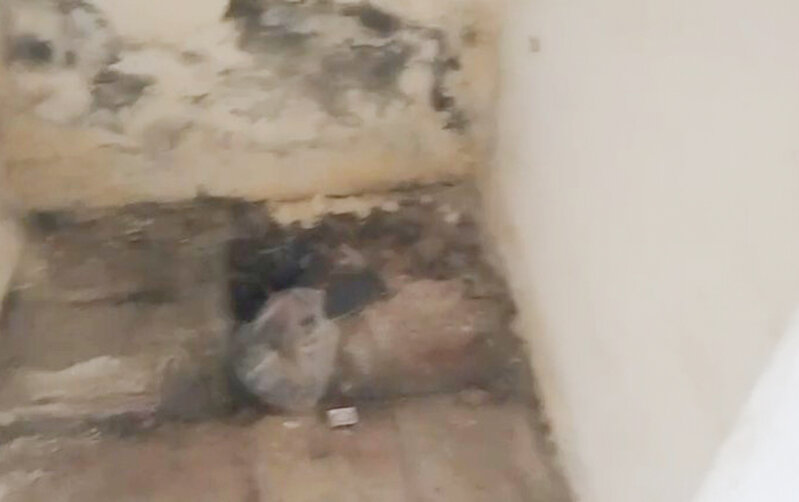 Yevlax stadionunda biabırçı vəziyyət - Video