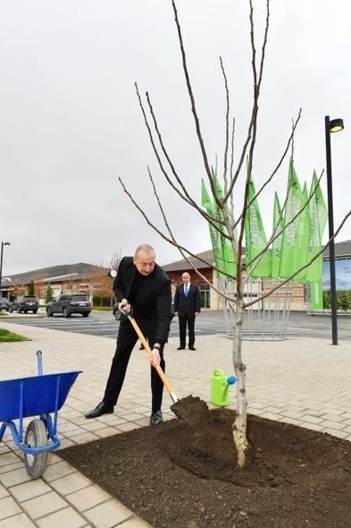 İlham Əliyev "Şəki-Oğuz" Aqroparkında yaradılan şəraitlə tanış olub - YENİLƏNİB + FOTO