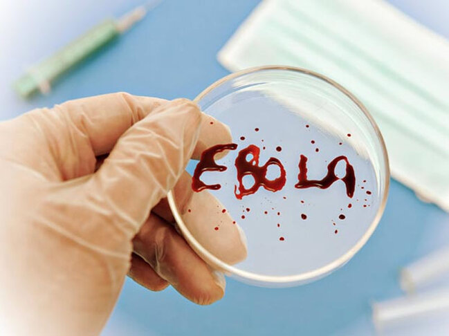 "Ebola" can almağa davam edir: 933 yoluxma qeydə alındı