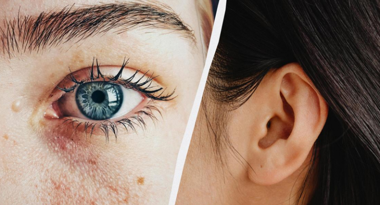 İnsan orqanizmində 6 lazımsız orqan: Onların heç bir funksiyası yoxdur