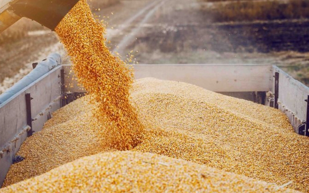 David Xudatyan: "Qazaxıstan taxılı Ermənistana Azərbaycandan keçərək gəlib çatıb"