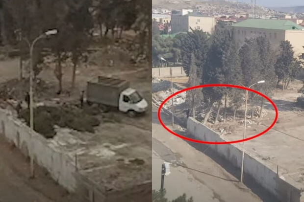 İcra hakimiyyətindən "xəbərsiz" kəsilən ağaclar və tikinti şirkətinin rüşvət cəhdi - VİDEO