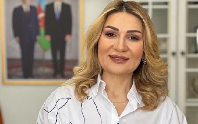 Narinc Rüstəmovanın rəhbəri olduğu mərkəz vergidən necə yayınıb?