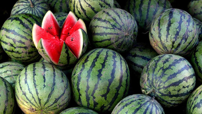 Süni şəkildə yetişdirilən qarpızı necə tanıyaq? - Ekspert AÇIQLADI