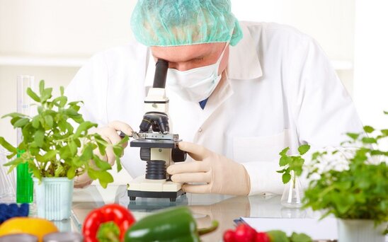 "Qida təhlükəsizliyi haqqında" qanun bu gündən qüvvəyə minir