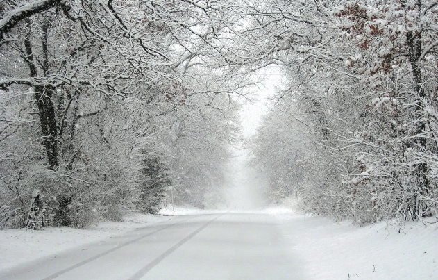 Ukraynada onlarla deputat istefa ərizəsi təqdim edib