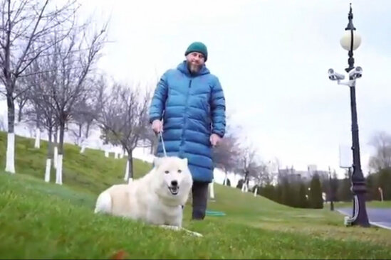 Kadırov canavarla gəzintiyə çıxdı - VİDEO