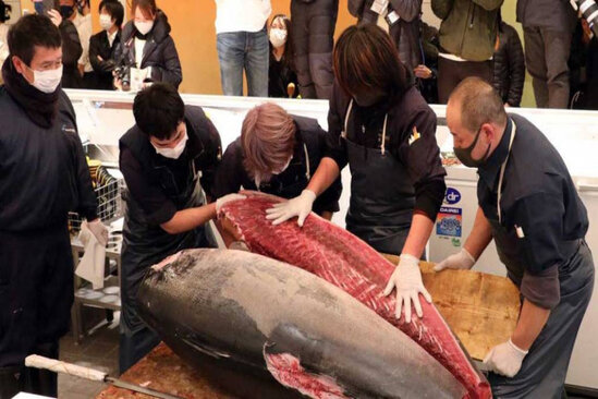 Bu restoranlar şəbəkəsi 1 balığı 146 min dollara aldı