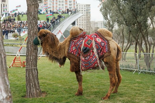 Paytaxtda möhtəşəm Novruz şənliyi