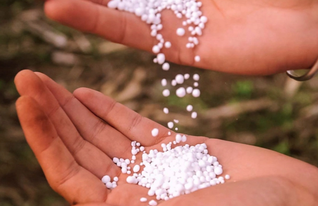 Azərbaycan azot gübrəsinin ixracını artırıb