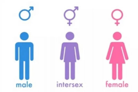 ÜST üçüncü cinsi rəsmən tanımağa hazırlaşır