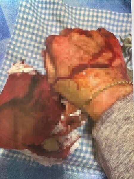 Məzahir Pənahovun oğlu xanımına işgəncə verib - Ağır ittihamlar