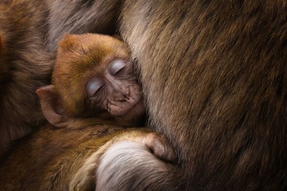 Səyahət zamanı çəkilən ən gözəl görüntülərin müəllifi açıqlandı - FOTO