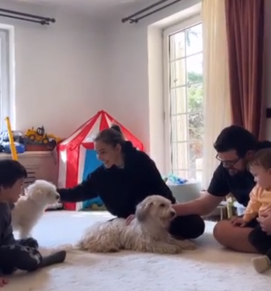 Tanınmış cütlük dağıntılardan xilas edilmiş itləri sahibləndilər