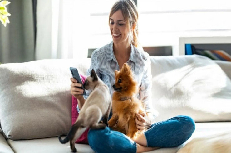 Bu insanlar ev heyvanı ilə yaşamamalıdır - SƏBƏB