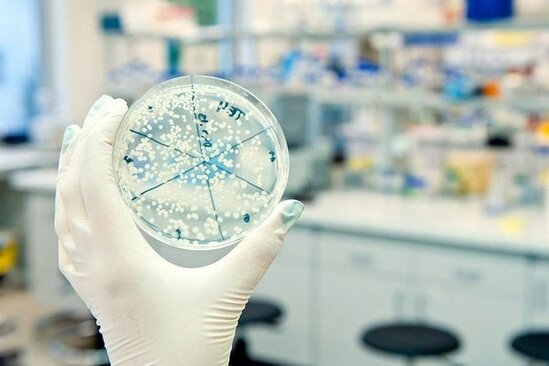 Azərbaycanda vərəmlə bağlı laboratoriya yaradılacaq