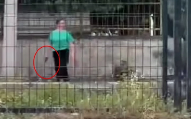 Qovulan qız şagird, silahla məktəbə qayıdaraq atəş açmağa başladı - VİDEO