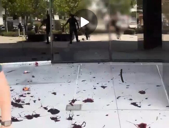 Ermənilər Los-Ancelesdəki Azərbaycan konsulluğunda təxribat törədiblər - VİDEO