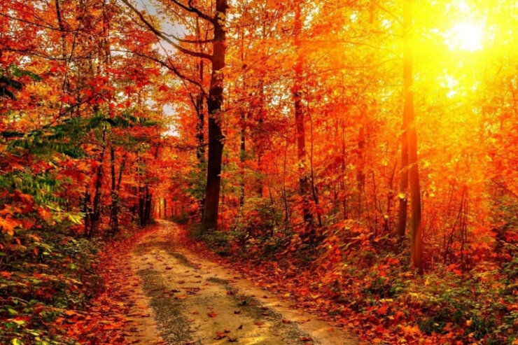 Sabah 23 dərəcə isti olacaq