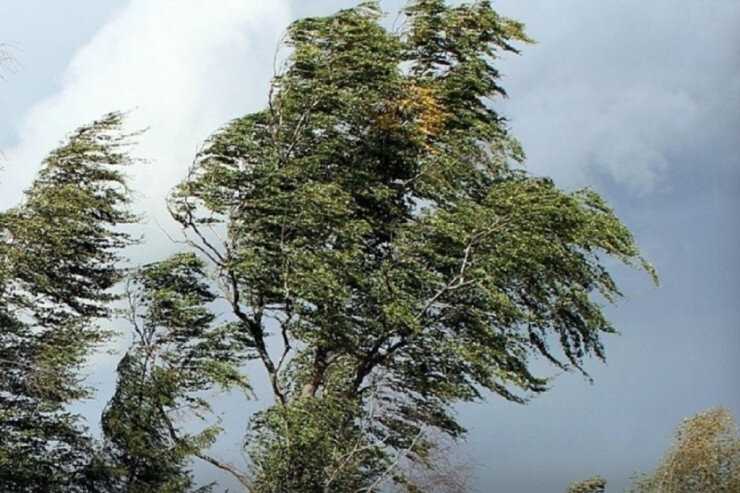 Bu rayonlarda güclü külək əsir - FAKTİKİ HAVA