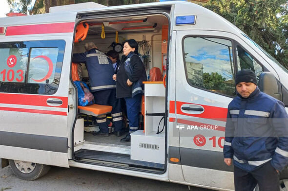 Zaqatalada külək irigövdəli ağacı yola aşırıb: Xəsarət alan var - FOTO