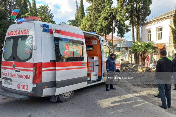 Zaqatalada külək irigövdəli ağacı yola aşırıb: Xəsarət alan var - FOTO