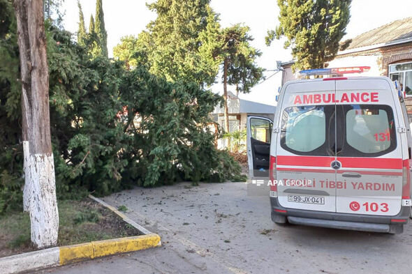 Zaqatalada külək irigövdəli ağacı yola aşırıb: Xəsarət alan var - FOTO