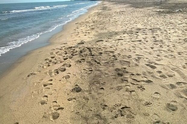 Abşeron çimərliklərində gözlənilən hava şəraiti açıqlanıb